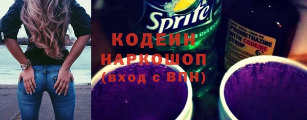 хмурый Белокуриха