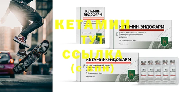 хмурый Белокуриха
