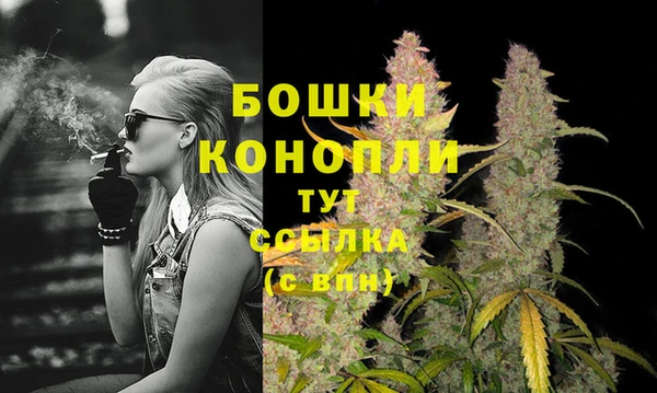 хмурый Белокуриха