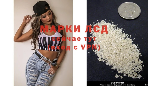 хмурый Белокуриха