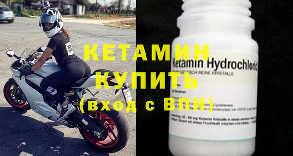 хмурый Белокуриха