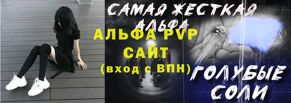 хмурый Белокуриха